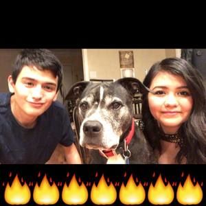 Meet your Posher, Daniel